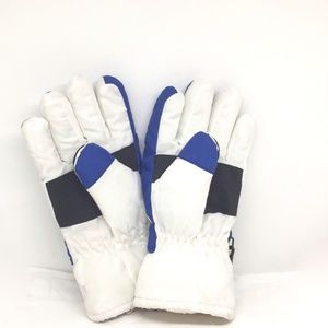 Thinsulate Gloves